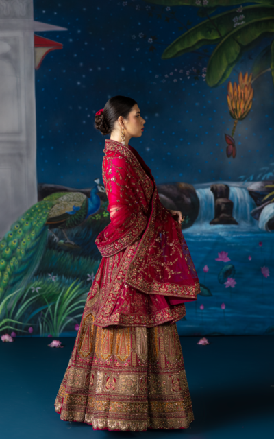 multi-lehenga sofia6 multi-lehenga sofia6
