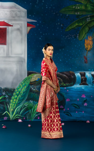 red saree-tanishka4 red saree-tanishka4