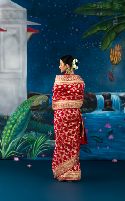 red saree-tanishka7 red saree-tanishka7